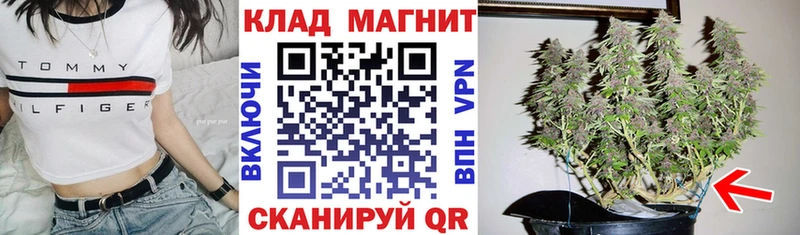Купить наркотик аптеки Камышин ГАШИШ  Канабис  Альфа ПВП  Галлюциногенные грибы  КОКАИН  Меф 