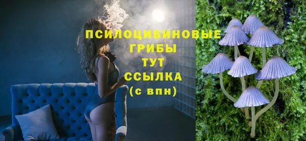 мяу мяу мука Новозыбков
