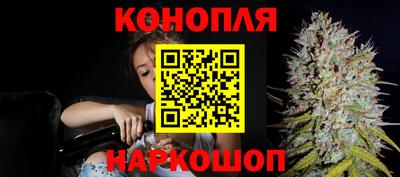 трава Абакан