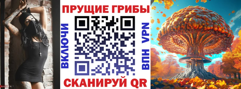 Галлюциногенные грибы Psilocybine cubensis  Камышин 