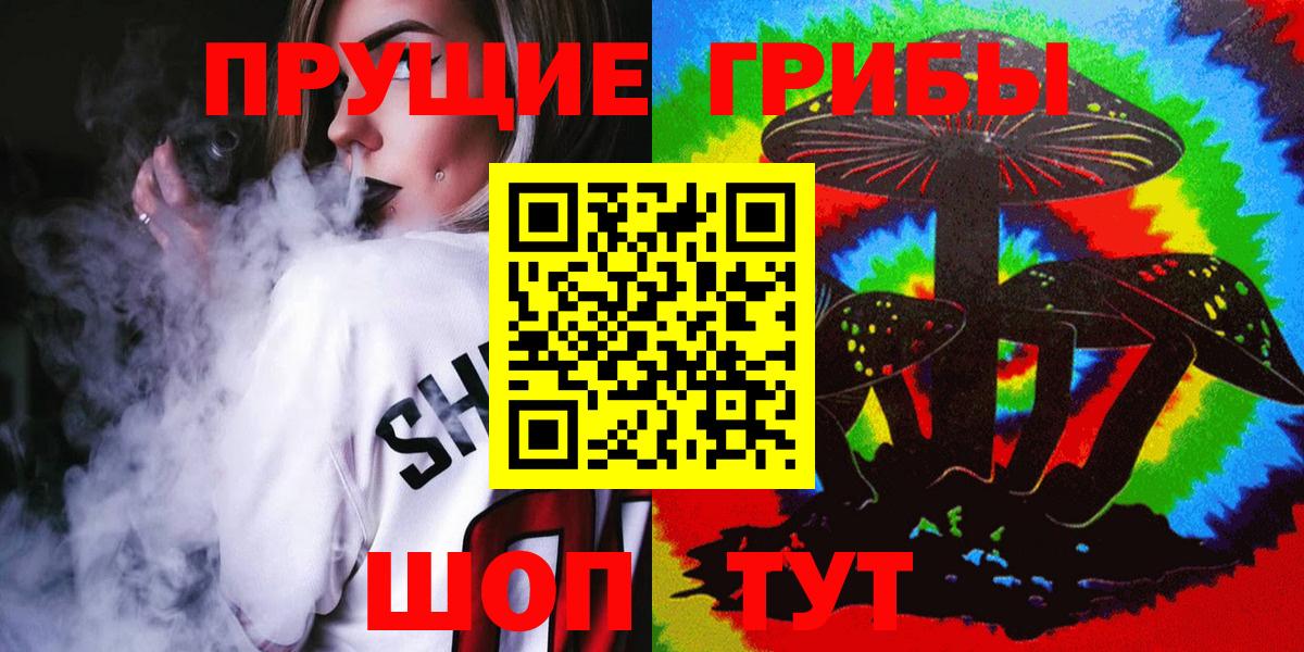 Псилоцибиновые грибы мицелий  Камышин  Псилоцибиновые грибы Psilocybine cubensis 