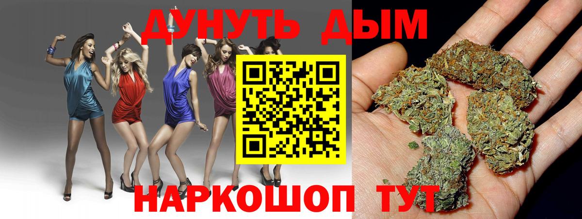 Камышин  Шишки марихуана планчик  Шишки марихуана гибрид  Вход с VPN  Конопля OG Kush  Бошки марихуана индика 